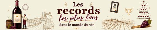 Les records les plus fous dans le monde du vin : des chiffres qui donnent le vertige