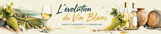 Le renouveau des vins blancs du Languedoc et du Roussillon : chiffres, évolution et potentiel