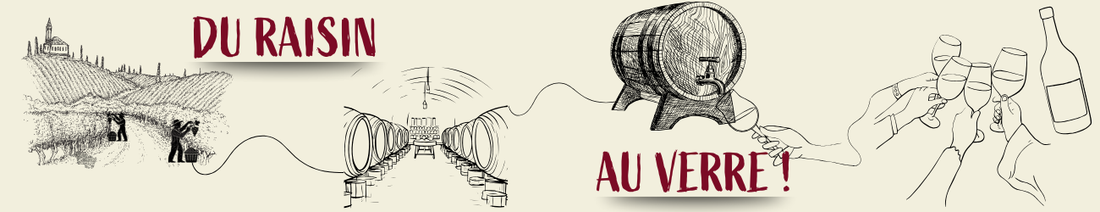 Du raisin au verre : son parcours avant de vous donner des frissons.