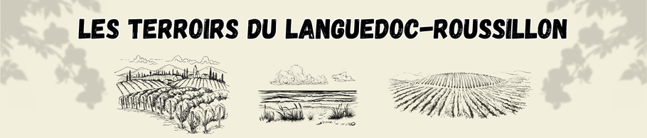 Les terroirs du Languedoc‑Roussillon : de la Méditerranée aux Pyrénées, une terre viticole exceptionnelle