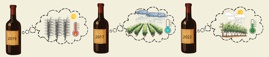 Le vin a-t-il une mémoire ?