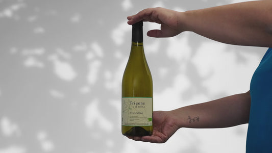 Le Soula - Trigone n°23