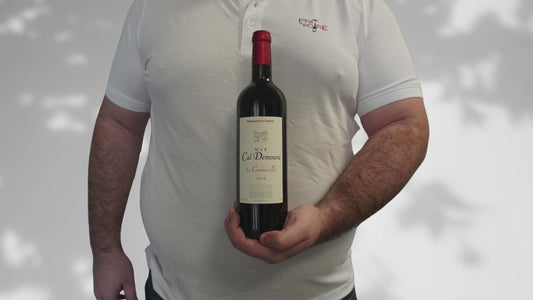 Mas Cal Demoura - Les Combariolles 2015