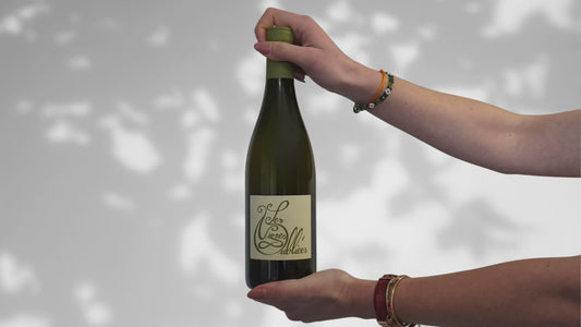 Les Vignes Oubliées - 2021
