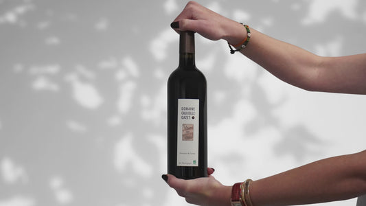 Domaine Caujolle Gazet - Vent de Terre 2021